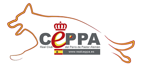 Real Ceppa Delegacion de Castilla y Leon Real Ceppa Delegacion de Castilla y Leon